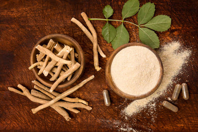 Everything You Need to Know About Ashwagandha