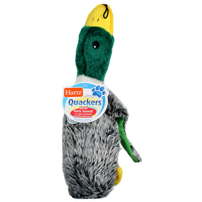 Hartz Quackers Dog Toy, Assorted